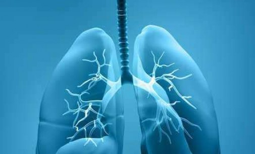 Mesotelioma Informacion