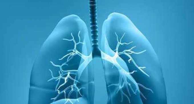 Mesotelioma Informacion